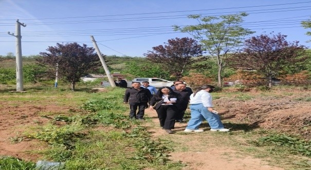 墟落振兴事情动态（第168期）