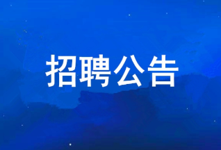 yl23411永利 2025年度果真招聘通告