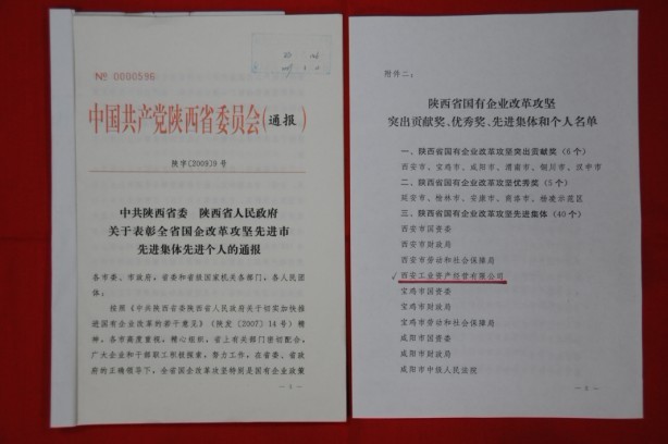 2009年2月，，，被陕西省委、省政府授予陕西省国有企业刷新攻坚先进整体